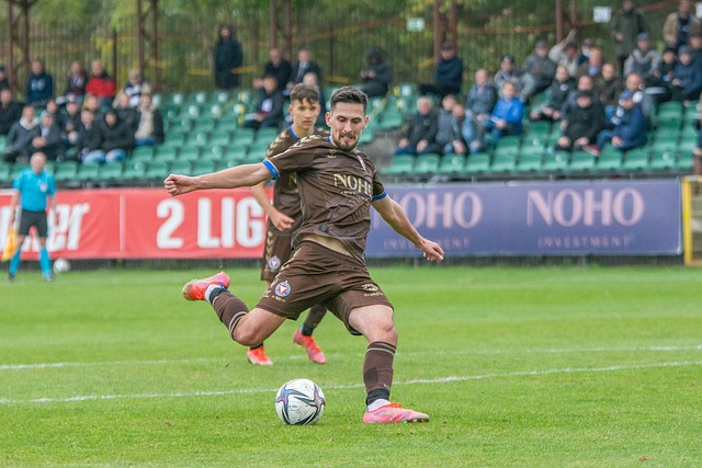 狼的快速转 狼的快速转