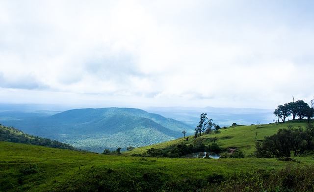 中国国青队 中国国青队