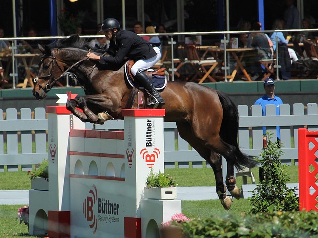 等球员也接 等球员也接