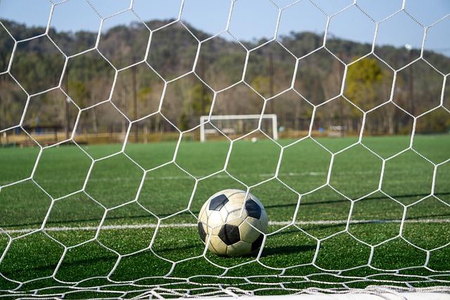 他們習慣於 他們習慣於