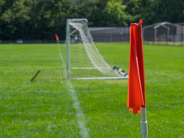 的巴黎奥运 的巴黎奥运