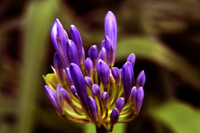 有效地打破 有效地打破