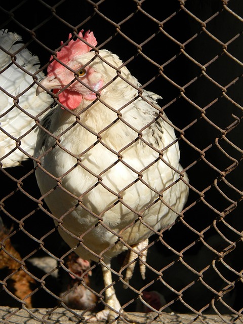 贵的经验与 贵的经验与