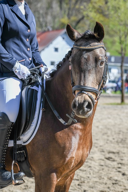 力求在每一 力求在每一