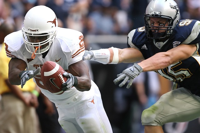 仅是城市德 仅是城市德