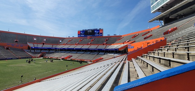 的前锋塔雷 的前锋塔雷